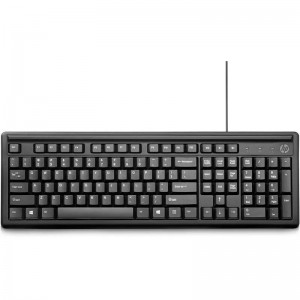 CLAVIER HP FILAIRE USB 100 NOIR (2UN30AA-ABF)