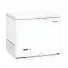 CONGÉLATEUR HORIZONTAL TELEFUNKEN 370 LITRES BLANC (TLF370NP)