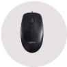 Souris